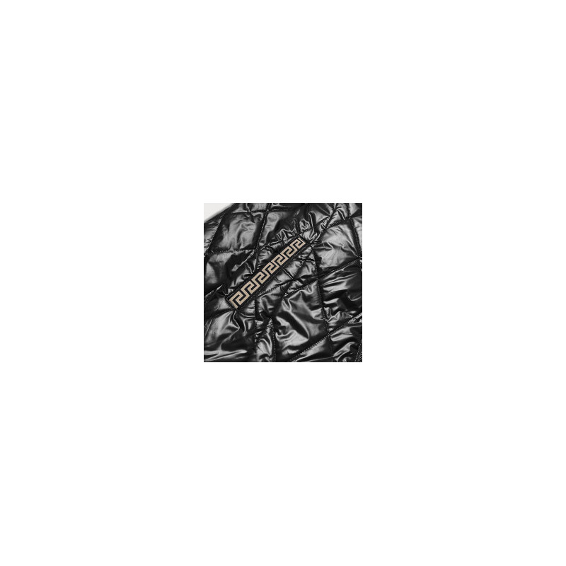 S'WEST (B8013-1) striukė