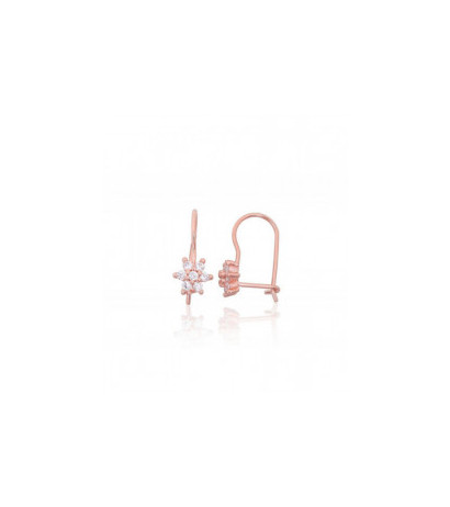 Silver hook earrings 2203828(PAu-R)_CZ, Silver 925°, red gold (Plating), Zirkons