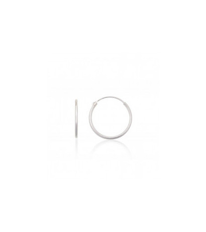 Hõbekõrvarõngad-ringikesed 2203862, Hõbe 925°