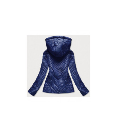 S'WEST (b9566) striukė