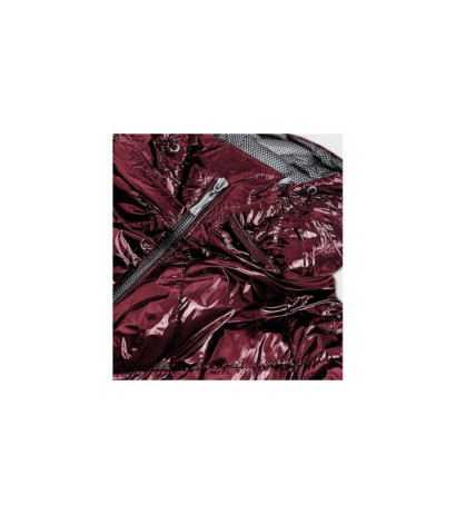 S'WEST (b9573) striukė