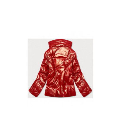 Ann Gissy (omdl-023) striukė