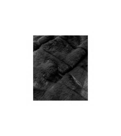 S'WEST (br9742-1) striukė