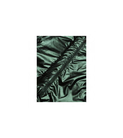 Ann Gissy (omdl-018) striukė