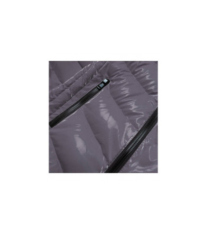 SPEED.A (xw810x) striukė