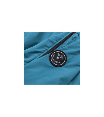 S'WEST (br8002-72) striukė