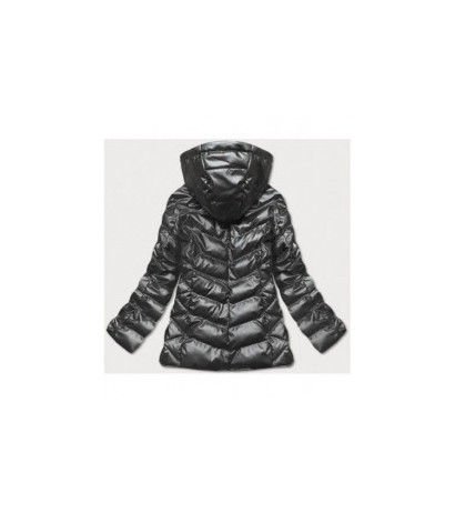 S'WEST (br9790-70) striukė