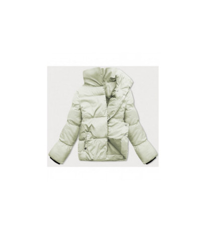 WINTER JACKET WITH MEMBRANE MINT (W182) striukė