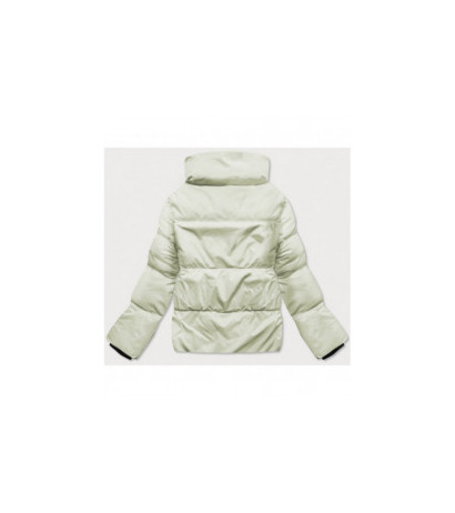 WINTER JACKET WITH MEMBRANE MINT (W182) striukė