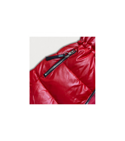 S'WEST (b8029-4) striukė