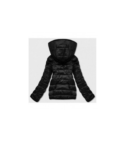 S'WEST (b8051-1) striukė