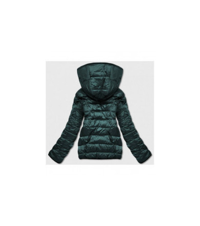 S'WEST (b8051-10) striukė