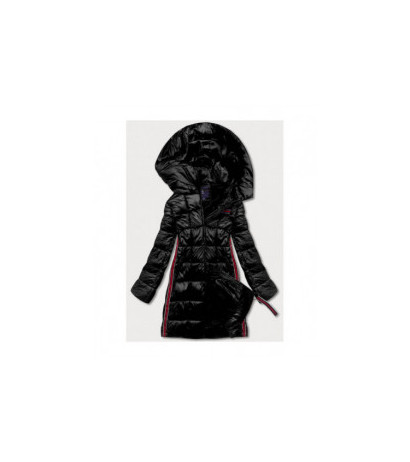 Ann Gissy (ag1-j9002) striukė