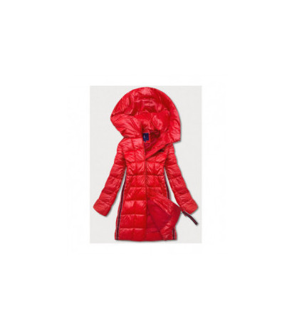 Ann Gissy (ag1-j9002) striukė