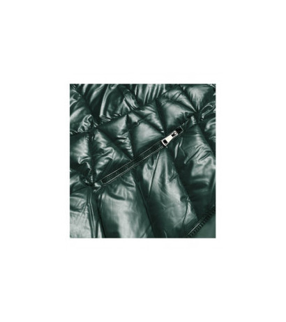 WINTER JACKET WITH MEMBRANE MINT (W182) striukė