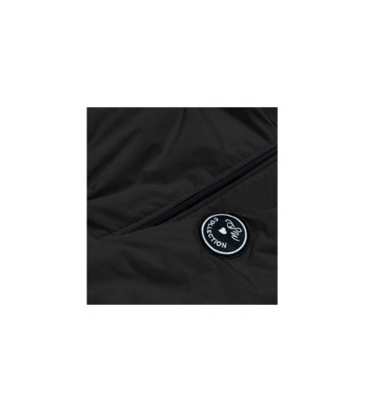 S'WEST (B8080-1) striukė