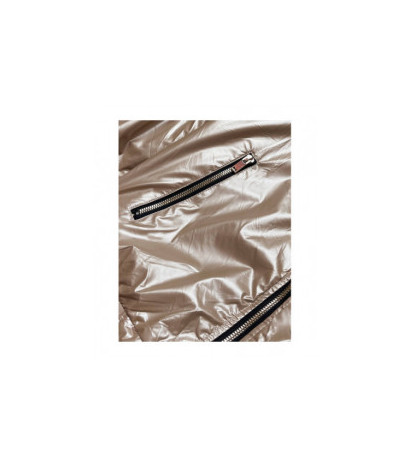 S'WEST (b8077-101) striukė