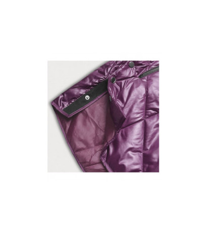 S'WEST (B8126-71) striukė