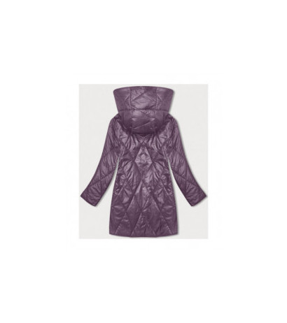 S'WEST (B8215-71) striukė