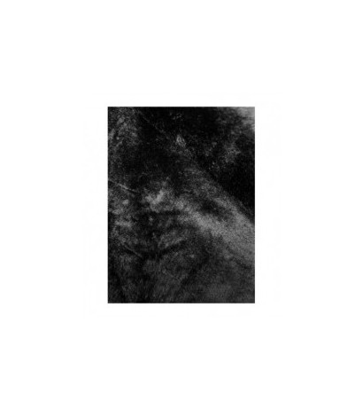 MELYA MELODY (V715) striukė