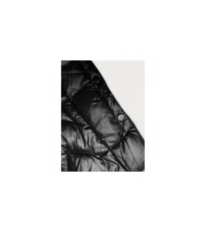 WINTER JACKET WITH MEMBRANE MINT (W182) striukė