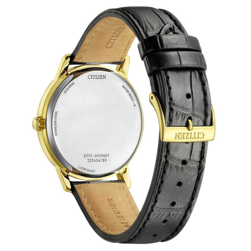 Citizen BM6756-01A 