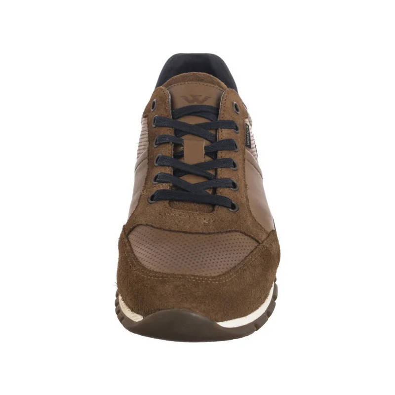 Wojas Brązowe 10051-73 (WO88-b) kingad