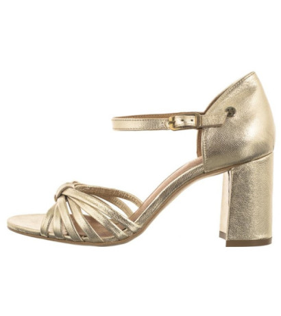 Maciejka Złote 06025-25/00-1 (MA1070-b) kingad