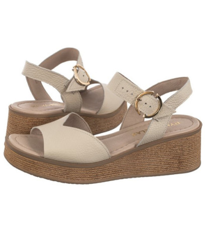 Ryłko Kremowe 3MF66_Z_ _6NJ (RY665-c) batai