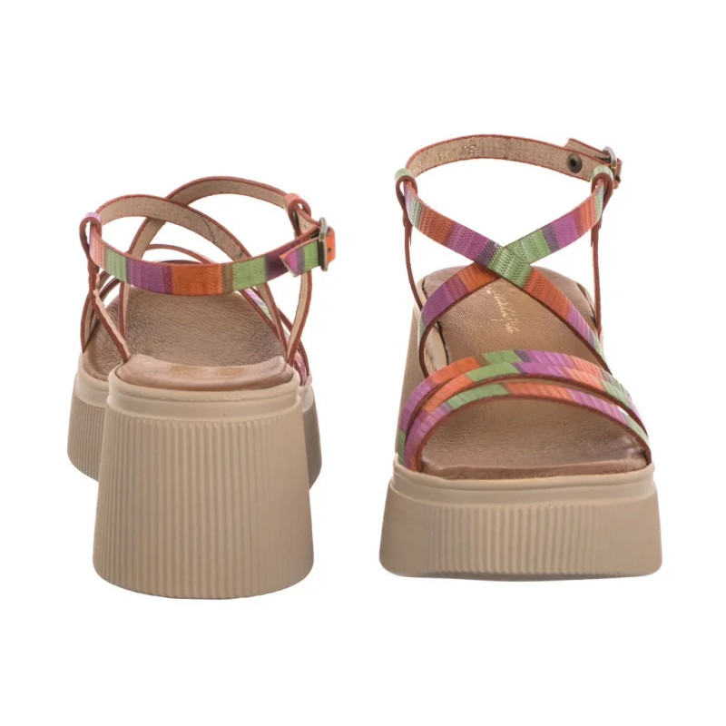 Maciejka Multikolor 06990-39/00-0 (MA1381-a) kingad