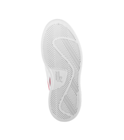 Puma Smash v2 Buck V PS 365183-07 (PU444-b) sports shoes