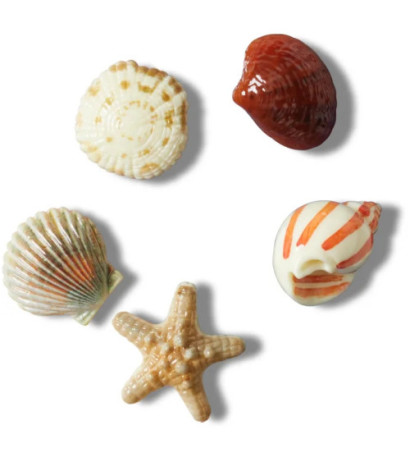 Crocs Jibbitz™ She Sells Seashells 5-Pack 10014671 (CR363-a) aksesuaras