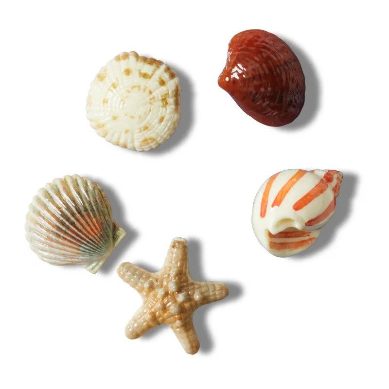 Crocs Jibbitz™ She Sells Seashells 5-Pack 10014671 (CR363-a) accessory