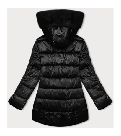 S'WEST (B8192-1) striukė