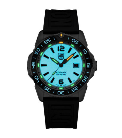 Luminox XS.3101.H 