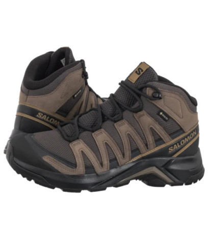 Salomon X-Adventure Recon Mid GTX Asphalt/Falcon/Coyote Brown 478145 (SO12-a) shoes