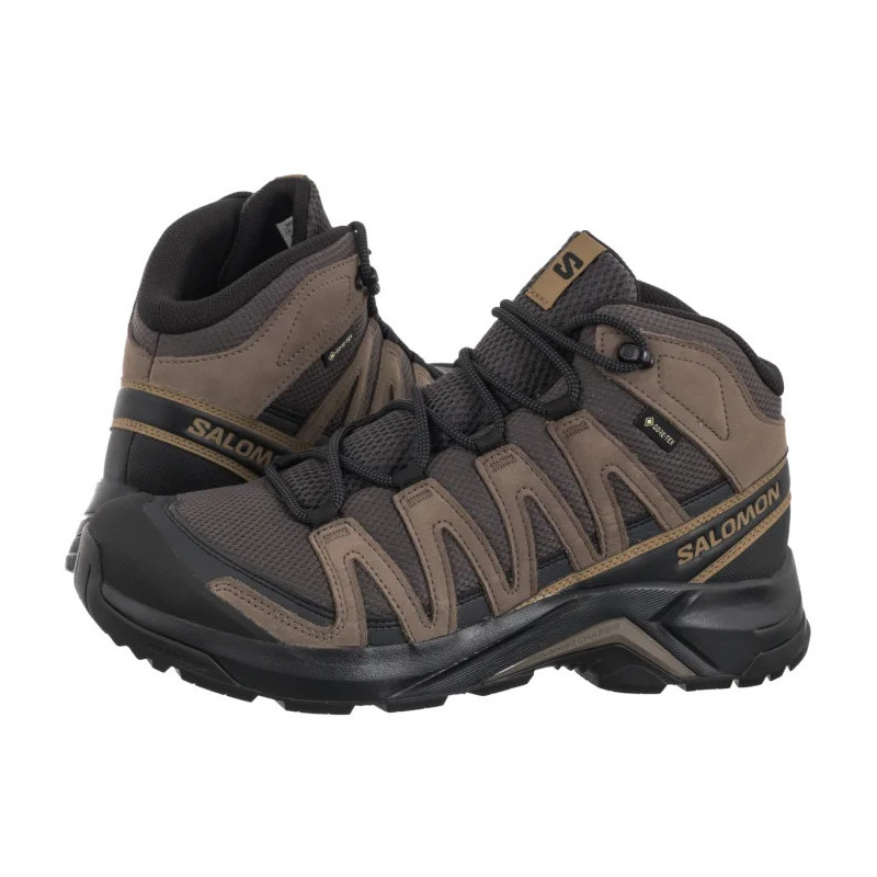 Salomon X-Adventure Recon Mid GTX Asphalt/Falcon/Coyote Brown 478145 (SO12-a) apavi