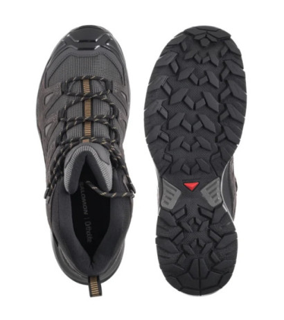 Salomon X Ultra 360 Ltr Mid GTX Castlerock/Asphalt/Kelp 475708 (SO20-a) apavi