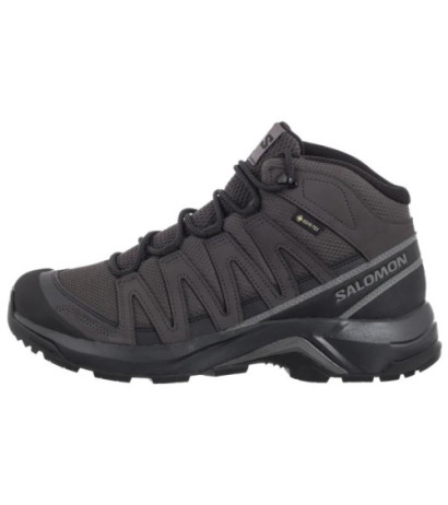 Salomon X-Adventure Recon Mid GTX Asphalt/Phantom/Castlerock 478091 (SO22-a) apavi