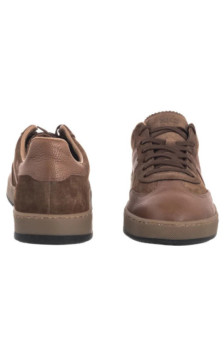 Ryłko Brązowe U1RX4___ __3K (RY1220-a) spordijalatsid