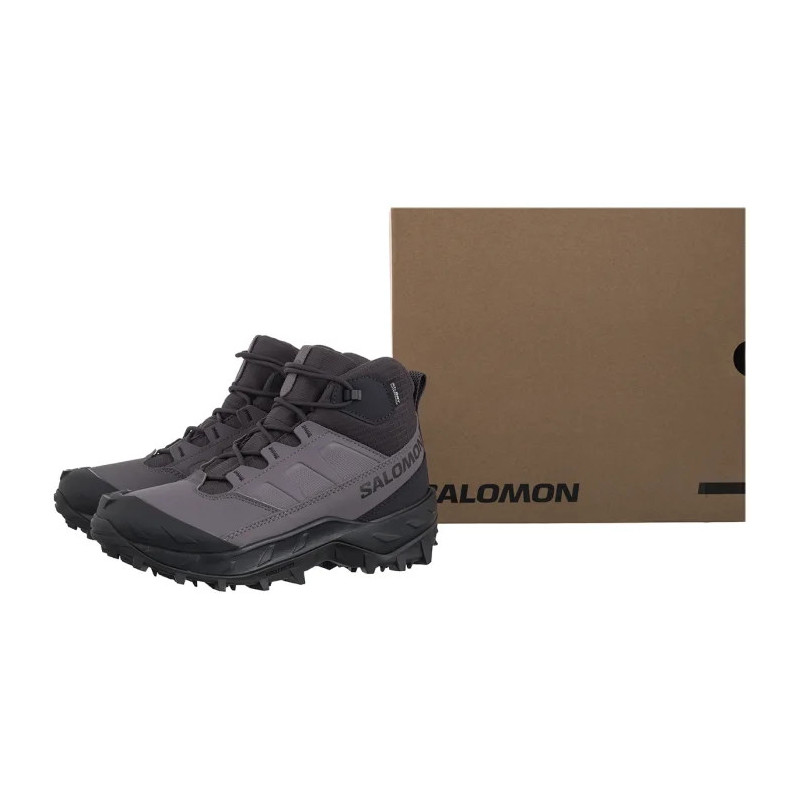 Salomon Crosstrak Wp W Nine Iron/Excalibur/Phantom 478621 (SO36-a) shoes