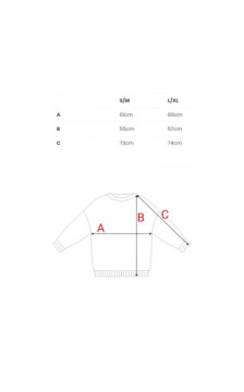 B303 Bluza z dzianiny z nadrukiem - model 2