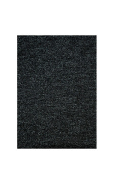 De Lafense peldmētelis