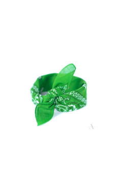 Art Of Polo bērnu šalle