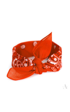 Art Of Polo bērnu šalle