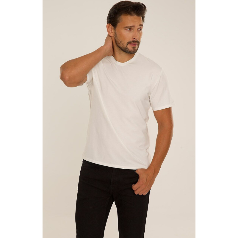 De Lafense t-särgid