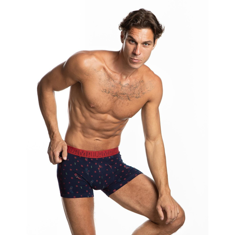 Lama apakšbiksītes