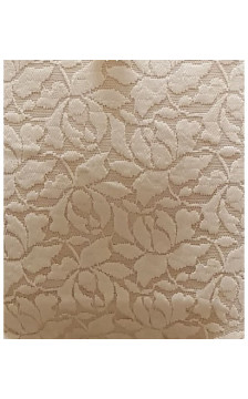 Emili apakšbiksītes