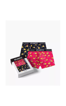 Atlantic apakšbiksītes