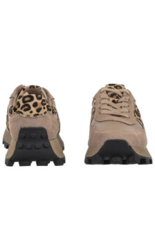 Filippo Beżowe/Panterka DP7112/25 BE LEO (FO217-a) spordijalatsid